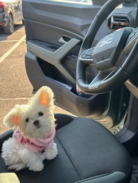 Dacia Duster - 42900 лв. / 21934.42 € - 88315905 12