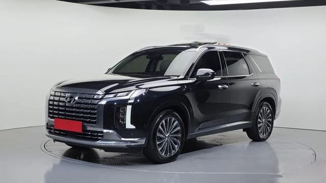 Hyundai Palisade VIP