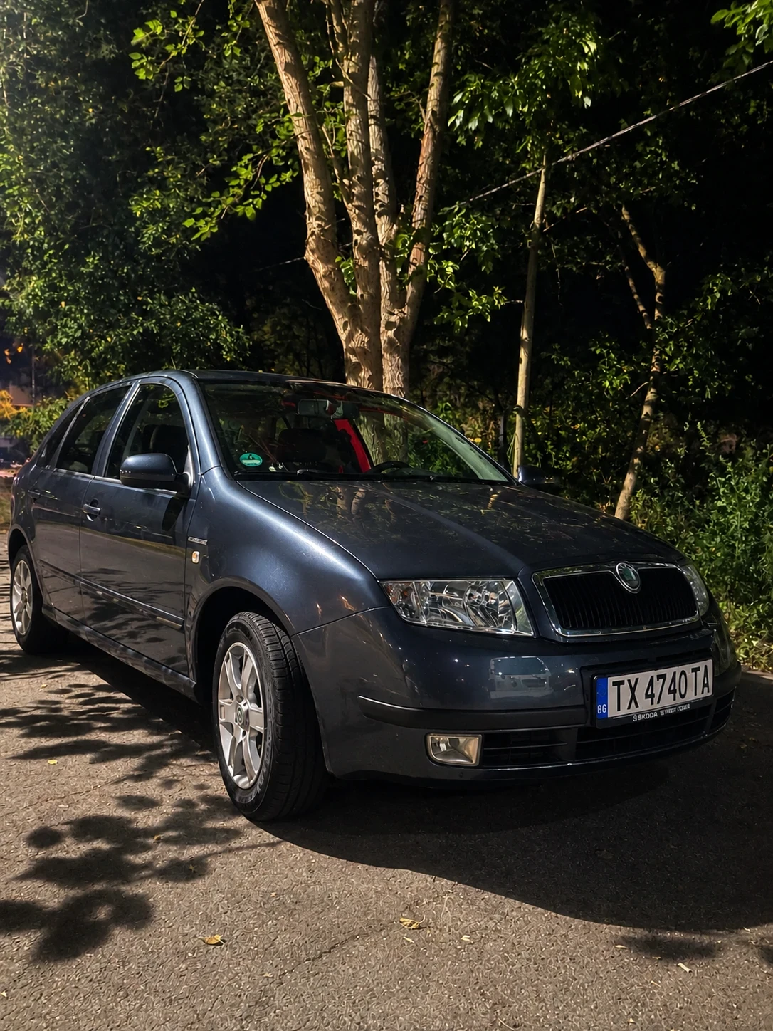 Skoda Fabia Excellent 
