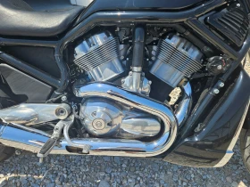 Harley-Davidson V-Rod Street rod   | Mobile.bg    9