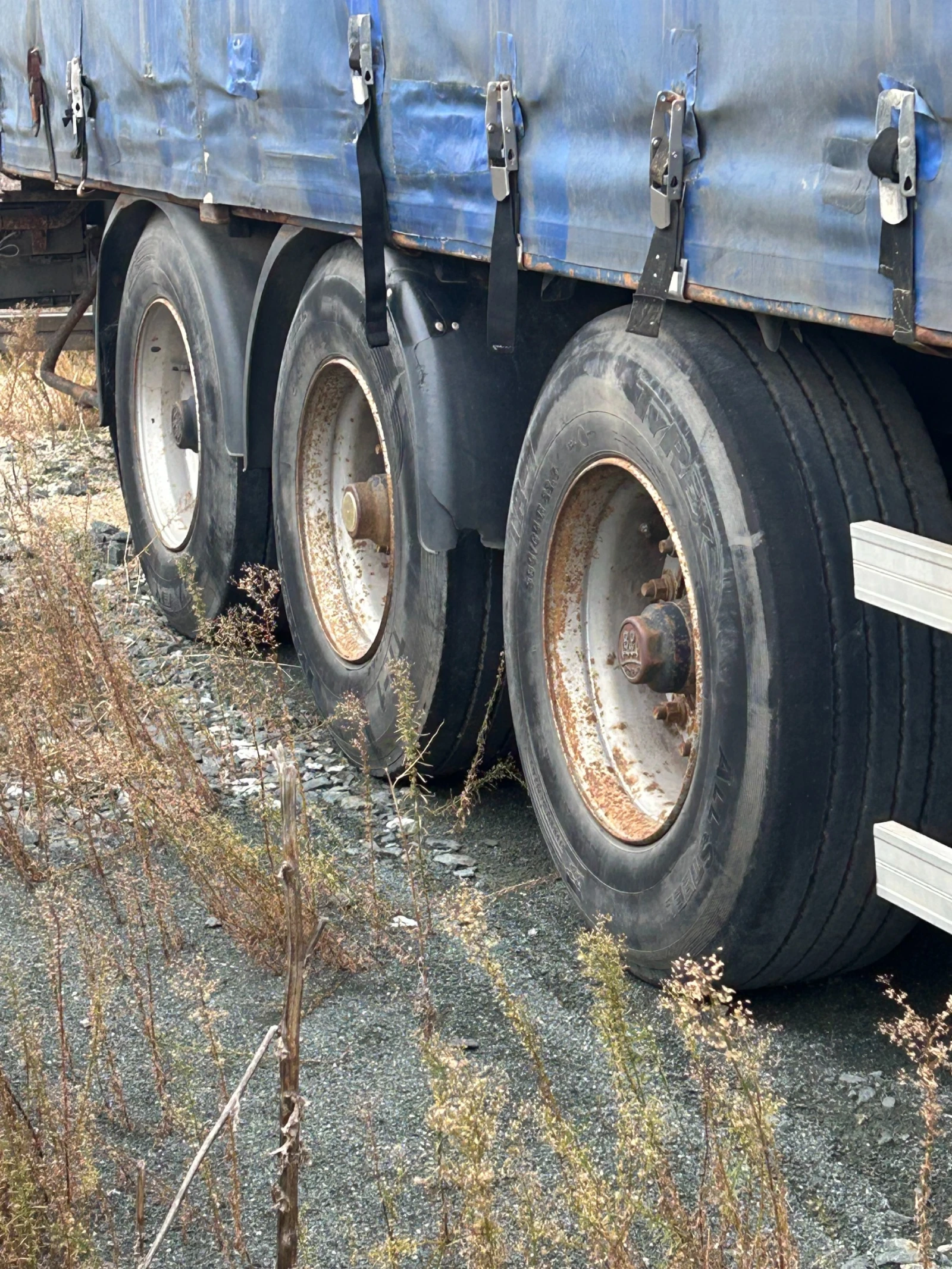  LeciTrailer | Mobile.bg   4