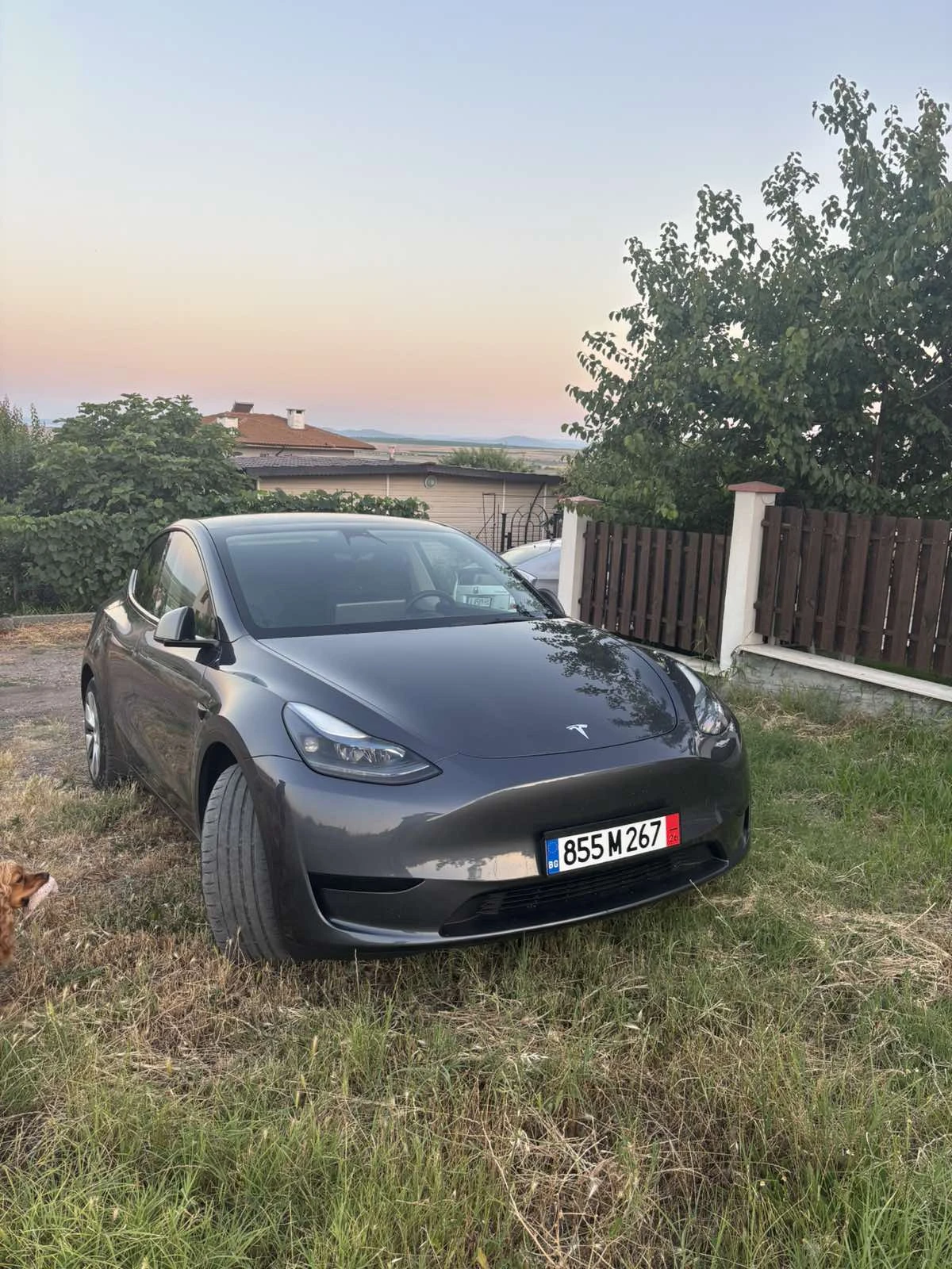 Tesla Model Y LFP батерия, снимка 5 - Автомобили и джипове - 55230538