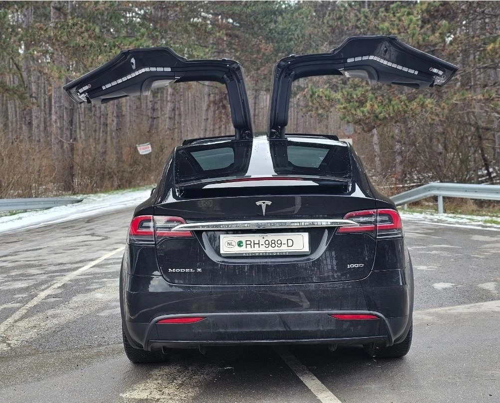 Tesla Model X X100D в Гаранция - изображение 4