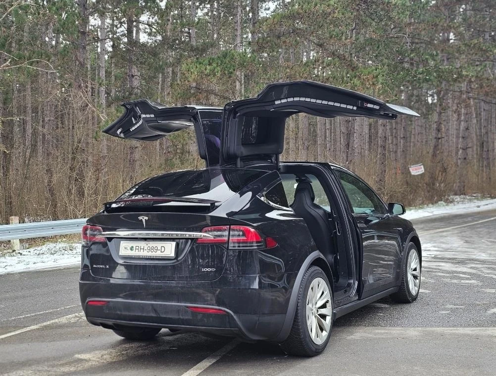 Tesla Model X X100D в Гаранция - изображение 5