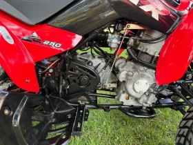 Kymco 250 * KXR 250* ДОКУМЕНТИ ЗА Б КАТЕГОРИЯ* КАТО НОВО* , снимка 11
