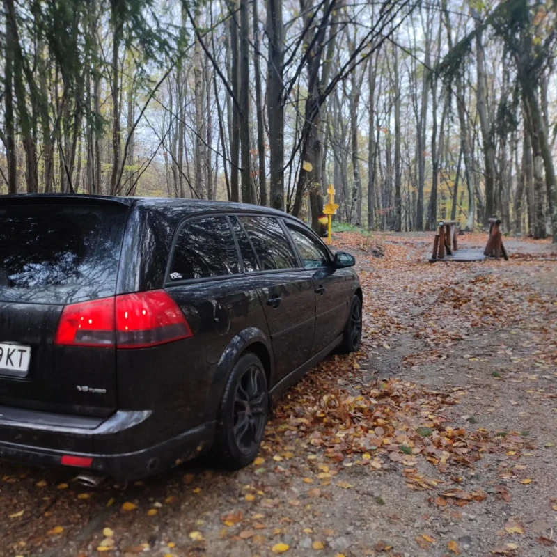 Opel Vectra C 2.8 turbo 230hp LPG, снимка 14 - Автомобили и джипове - 44907958