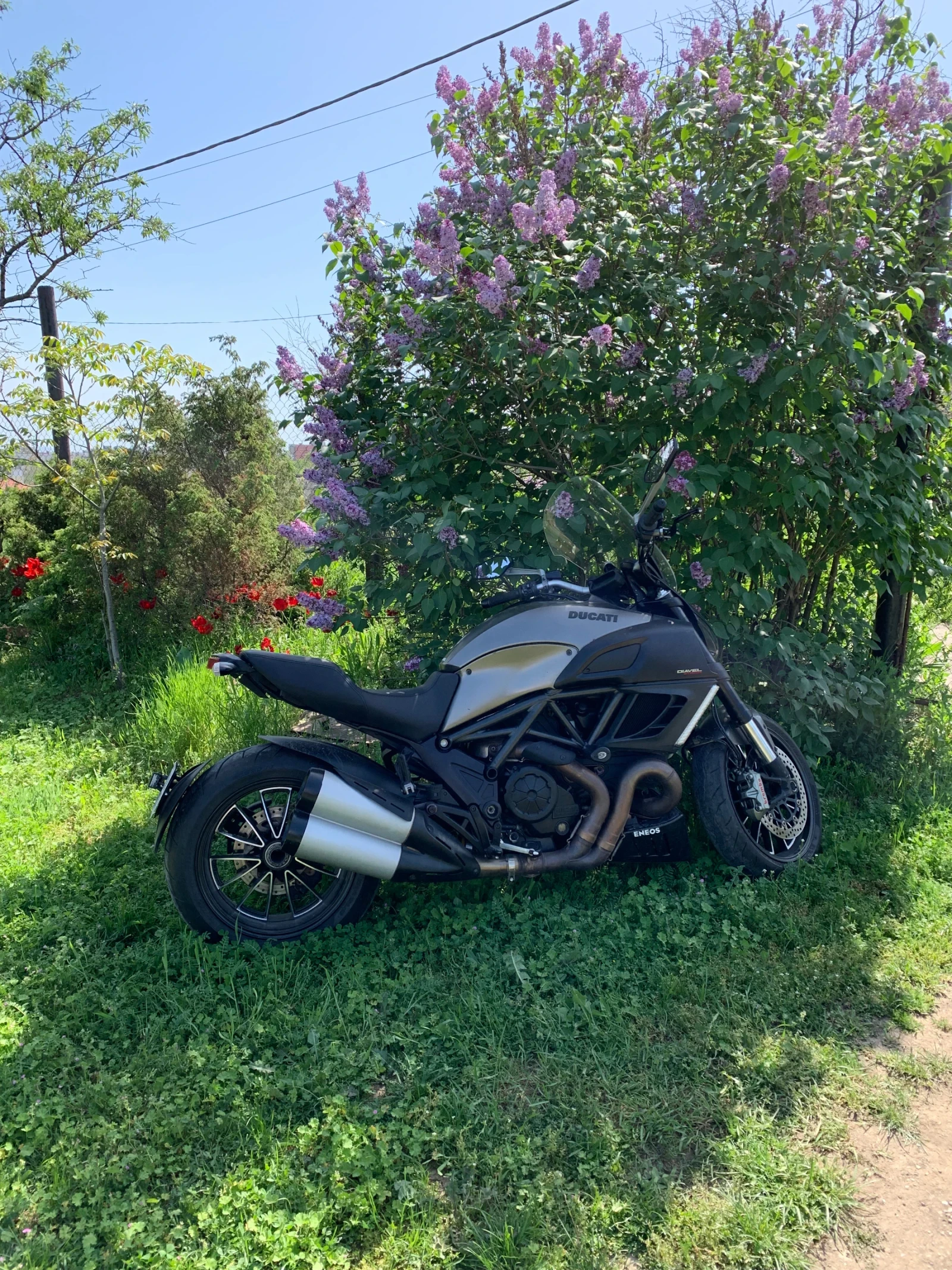 Ducati Diavel Strada - изображение 5