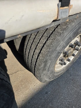 ����������� Krone Standart | Mobile.bg � ����� ������ 12