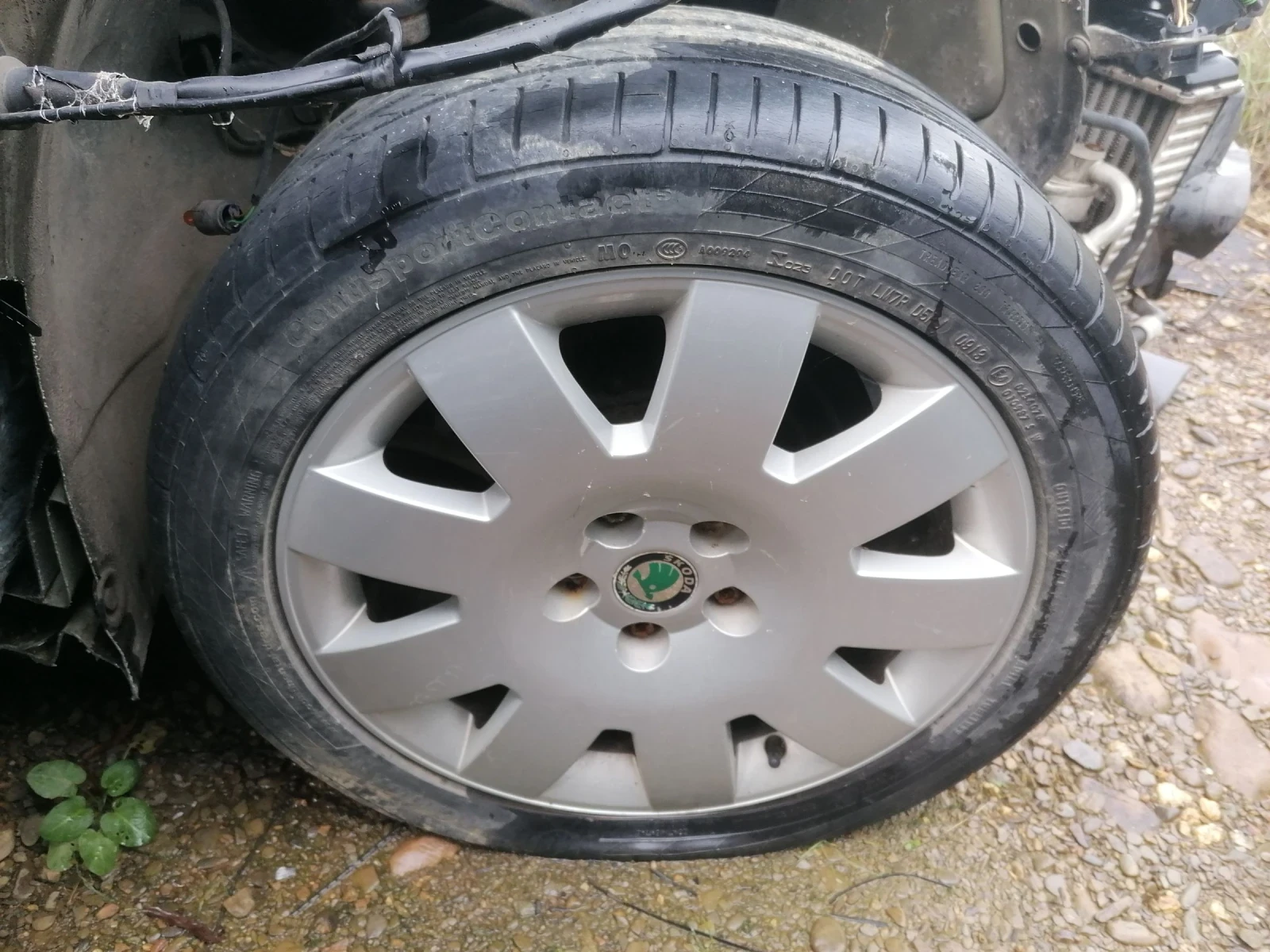 ������ | Mobile.bg � ����������� 3