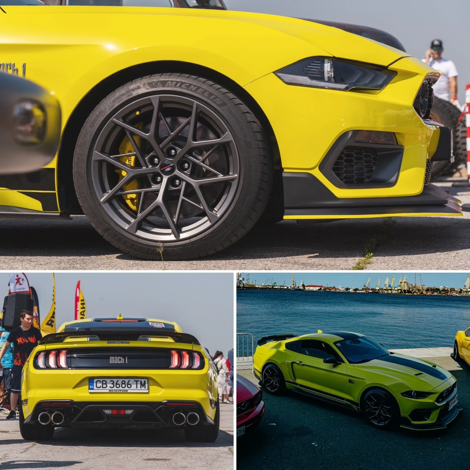 Ford Mustang MACH 1 /  /  | Mobile.bg   12