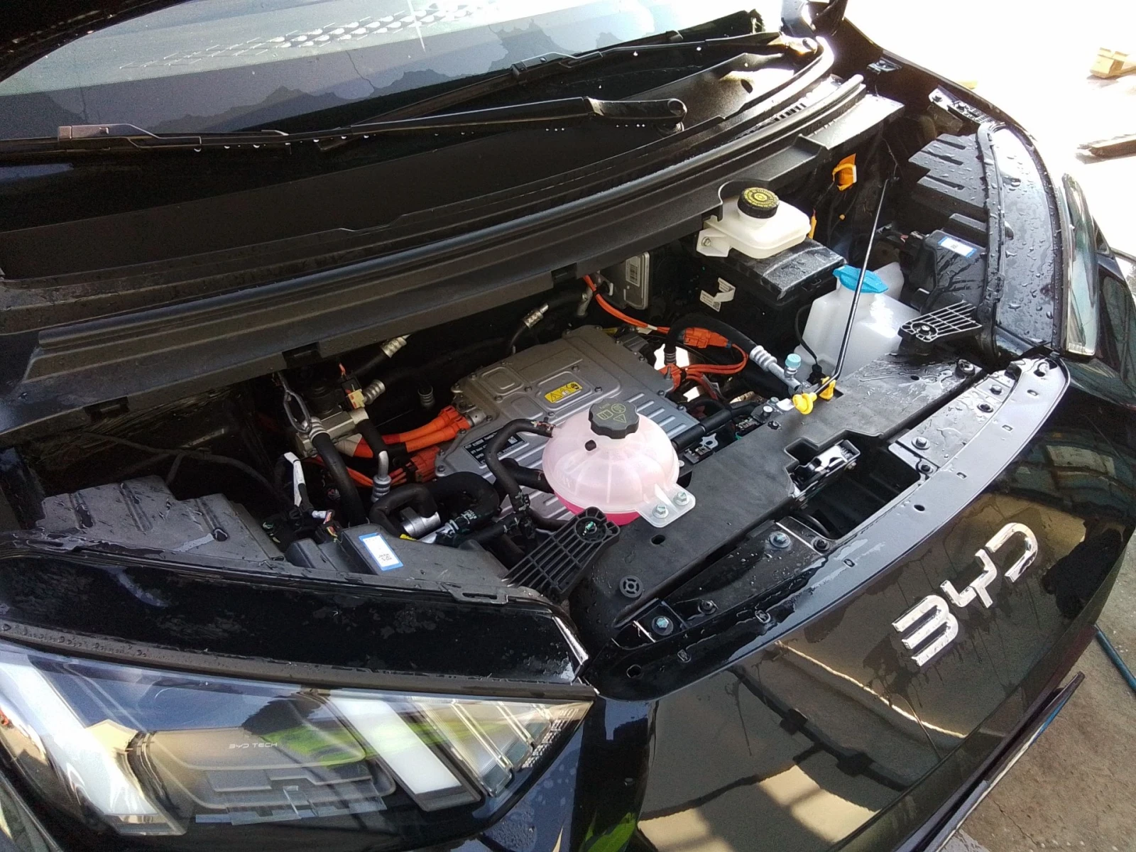 BYD Dolphin НАЛИЧЕН!!!, снимка 11 - Автомобили и джипове - 54150989