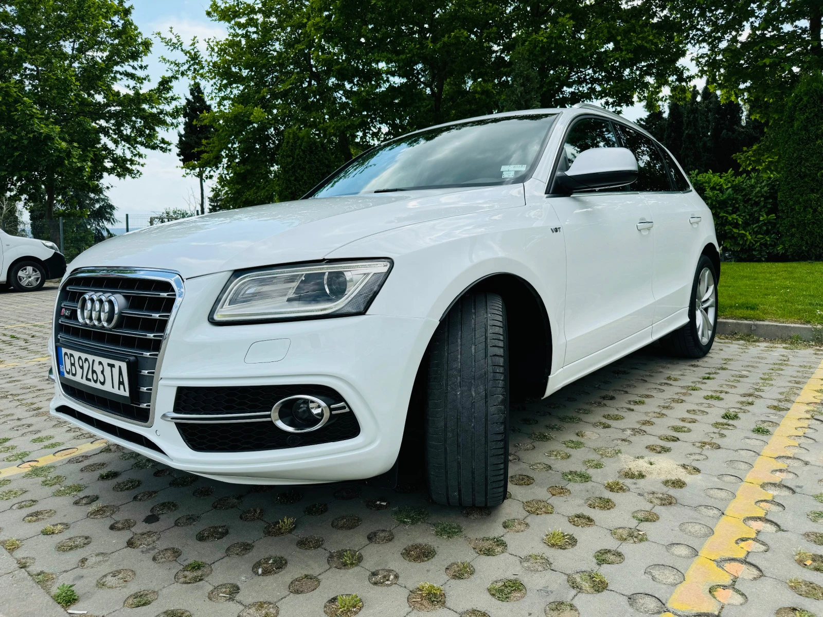 Audi SQ5 3.0 bi-Tdi - изображение 2