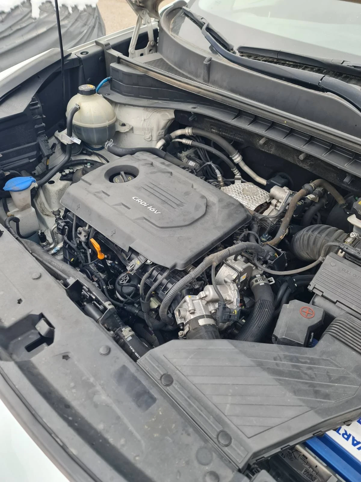 Kia Sportage 1.7 - изображение 3