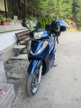  Honda Sh