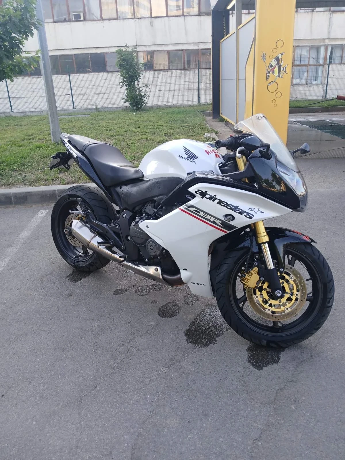 Honda Cbr  - изображение 2