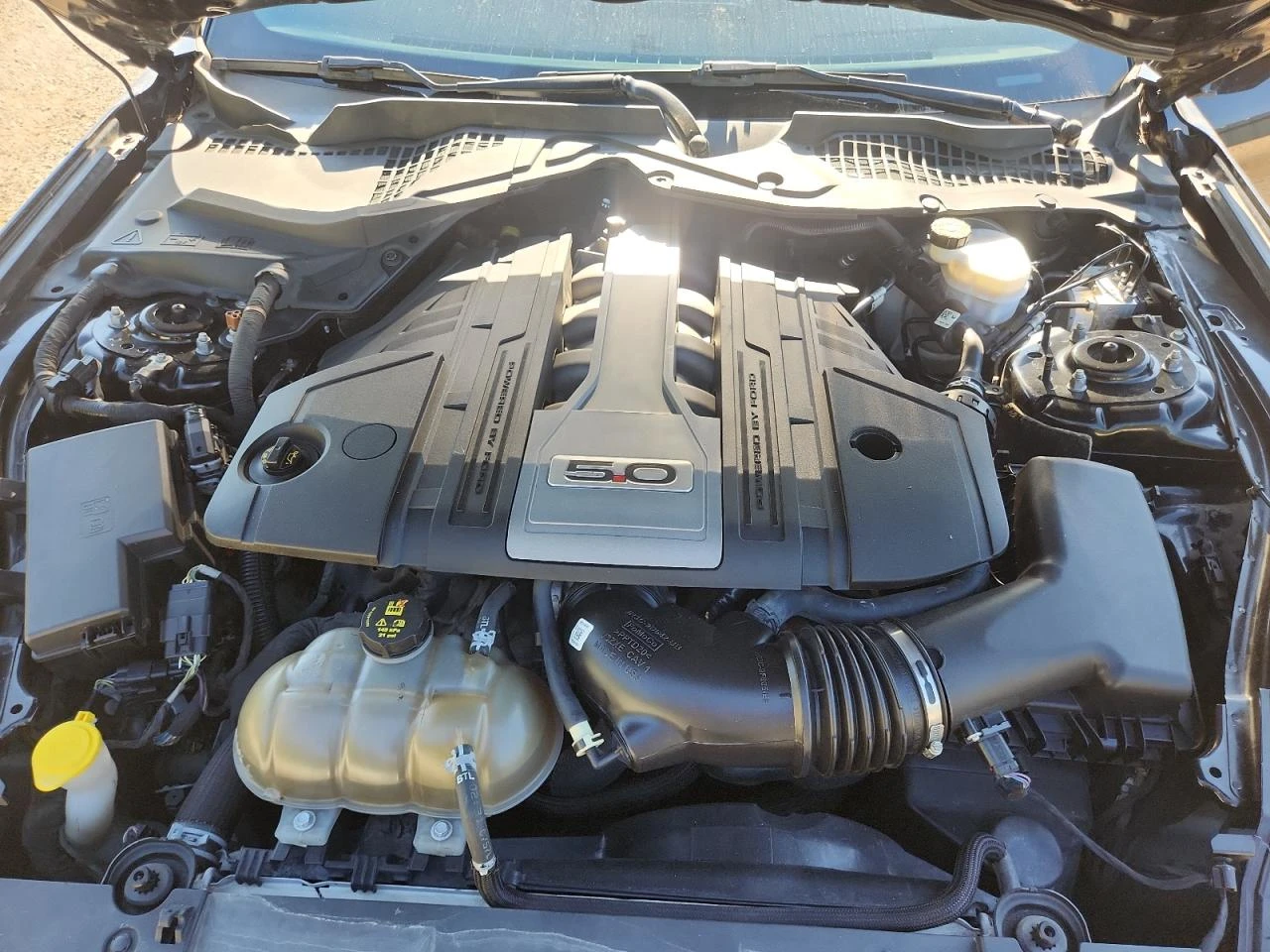 Ford Mustang GT/5.0L//   | Mobile.bg   11