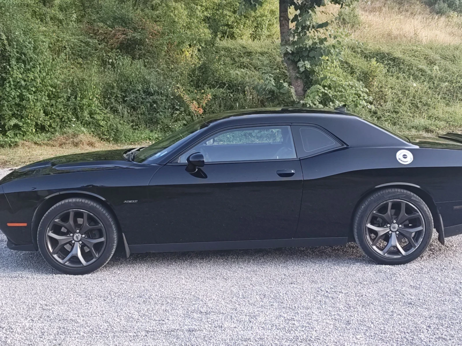 Dodge Challenger 5.7, снимка 4 - Автомобили и джипове - 56294853