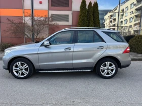     Mercedes-Benz ML 250