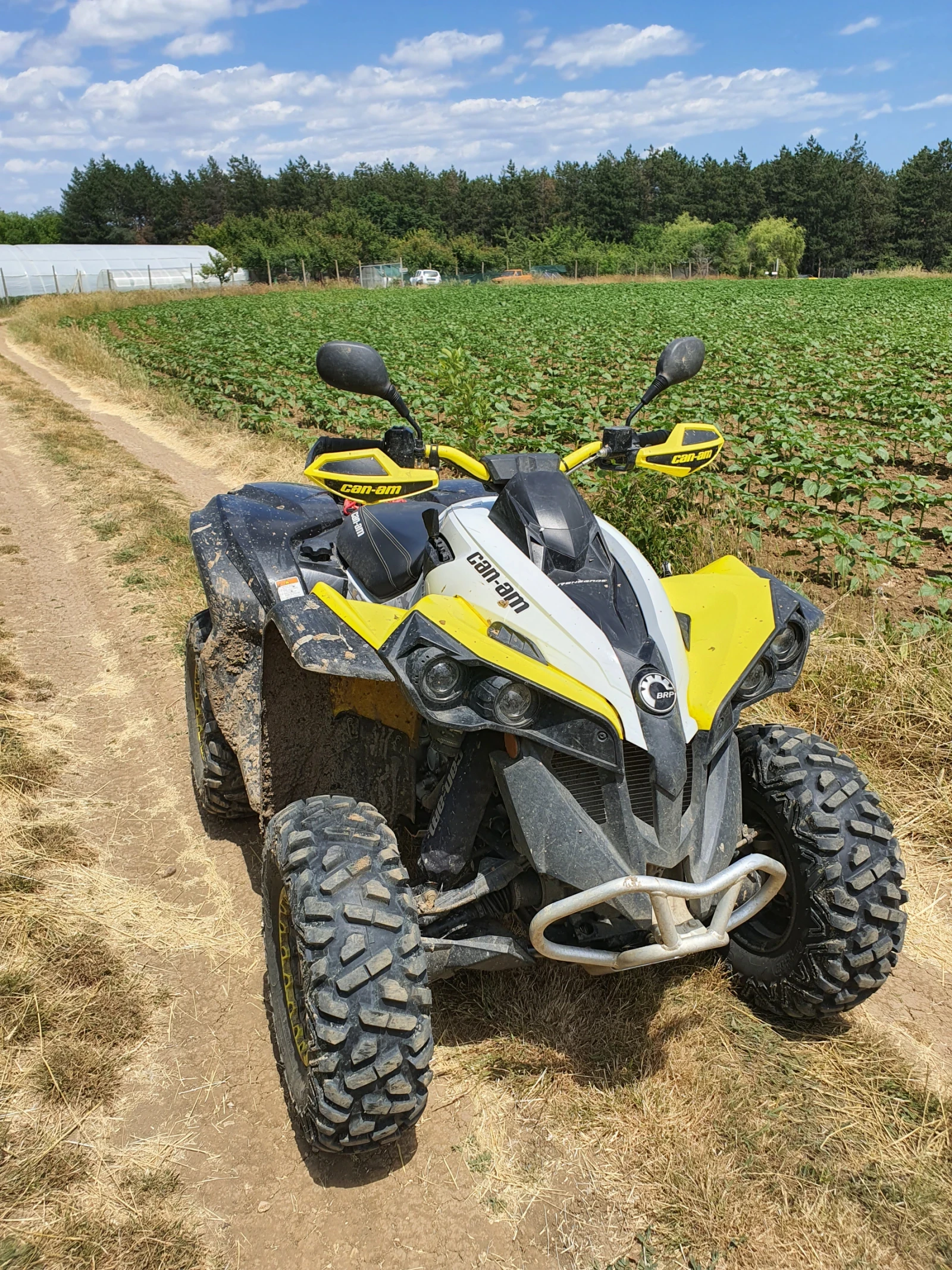 Can-Am Renеgade, снимка 3 - Мотоциклети и мототехника - 55149335