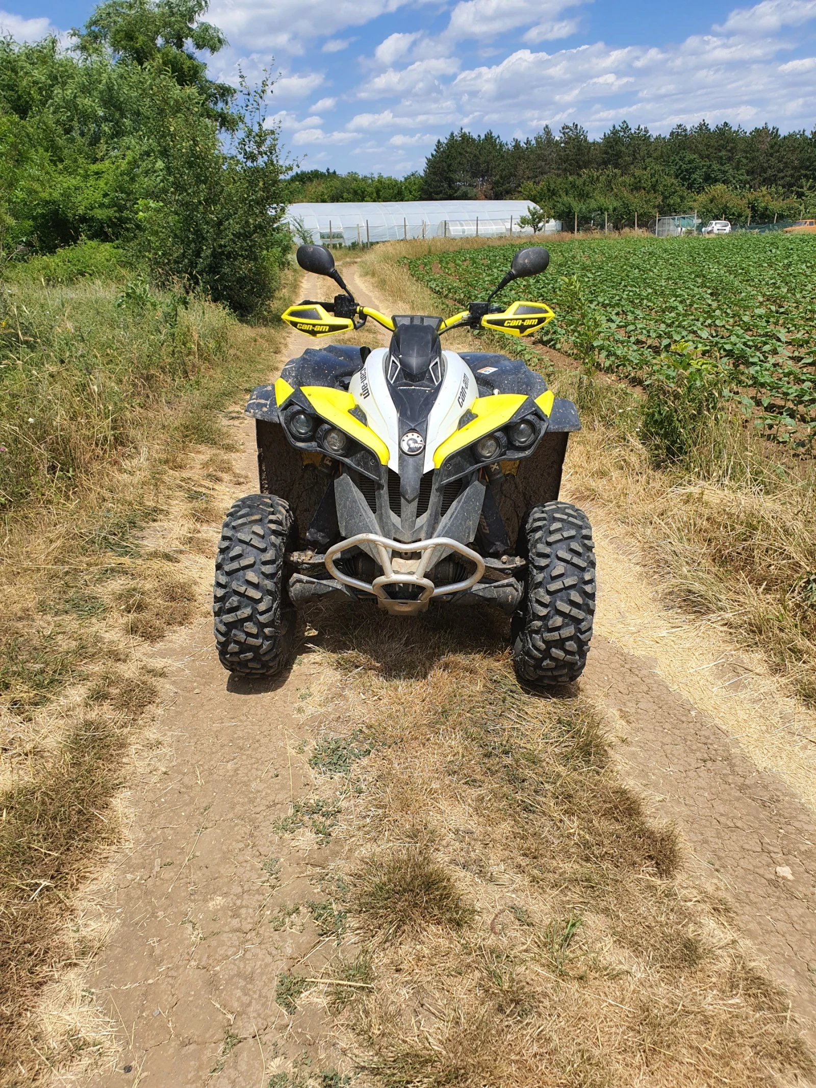 Can-Am Renеgade