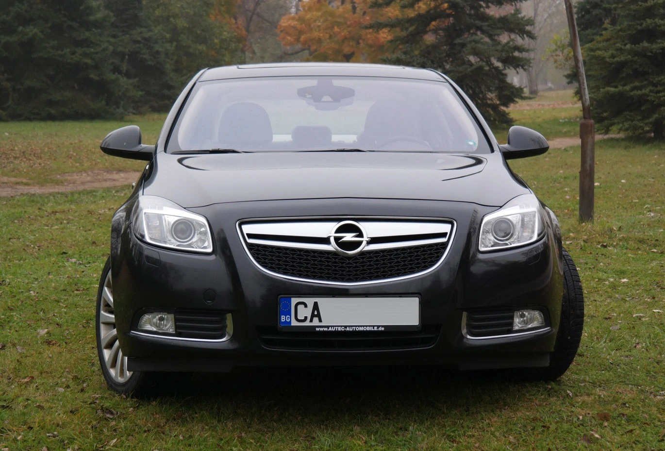 Opel Insignia Перфектна! 2.8T 4x4 LPG, FlexRide, кожа, вс.екстри