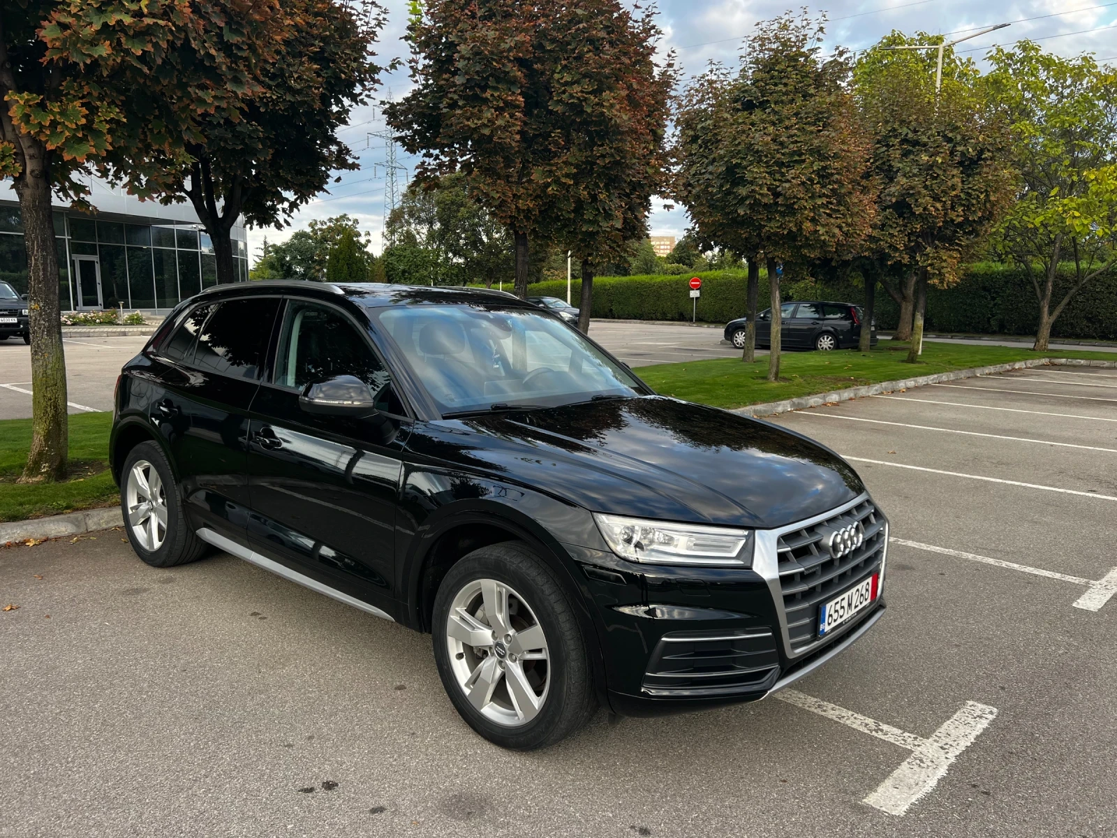 Audi Q5 2.0Т Quattro Panorama - изображение 5