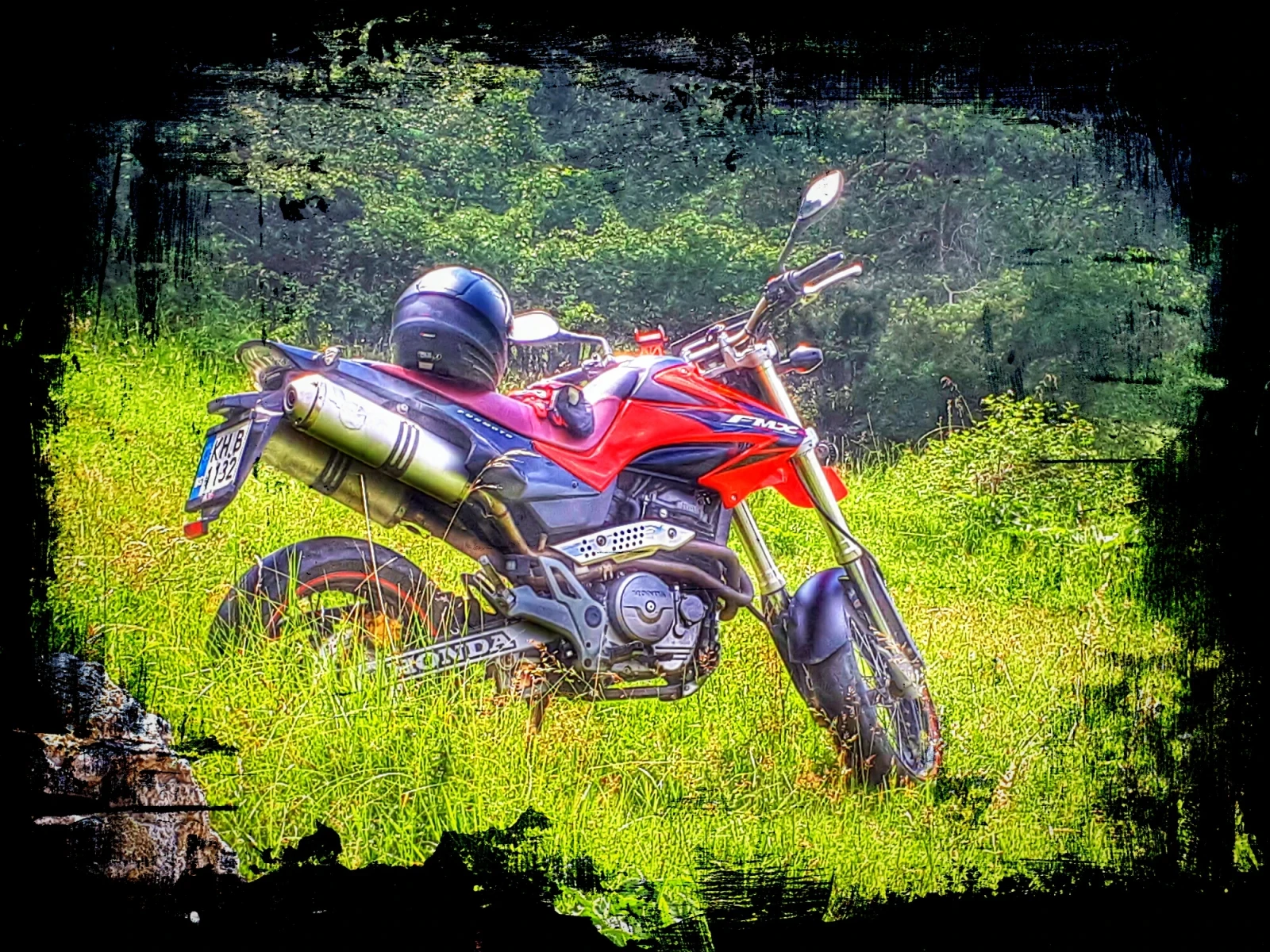 Honda Fmx  - изображение 4