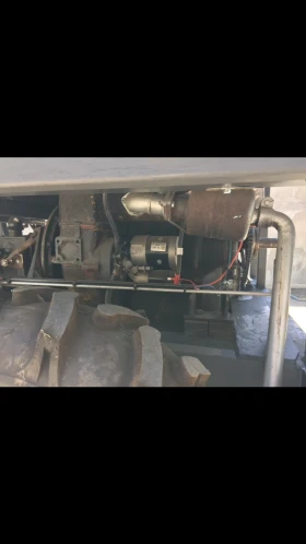   Cat | Mobile.bg    8