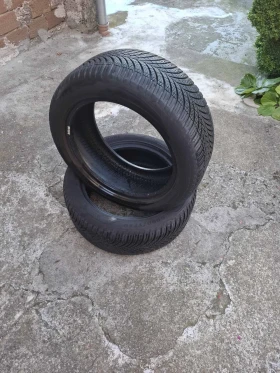 ������ ����