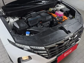 Hyundai Elantra 1.6 HEV 2WD/ DIST/ ���������/ �������/ ������ | Mobile.bg � ����� ������ 5