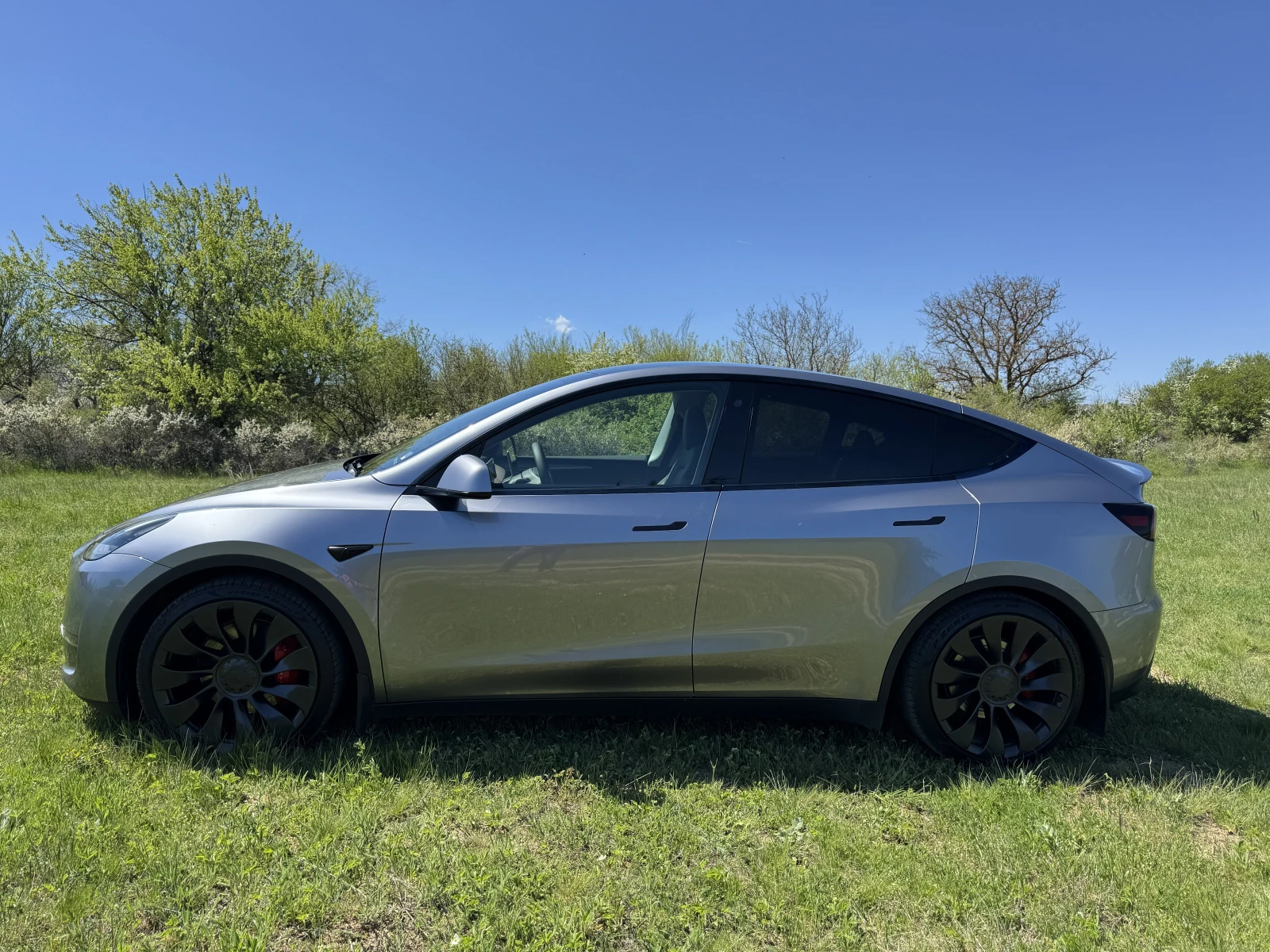 Tesla Model Y Performance