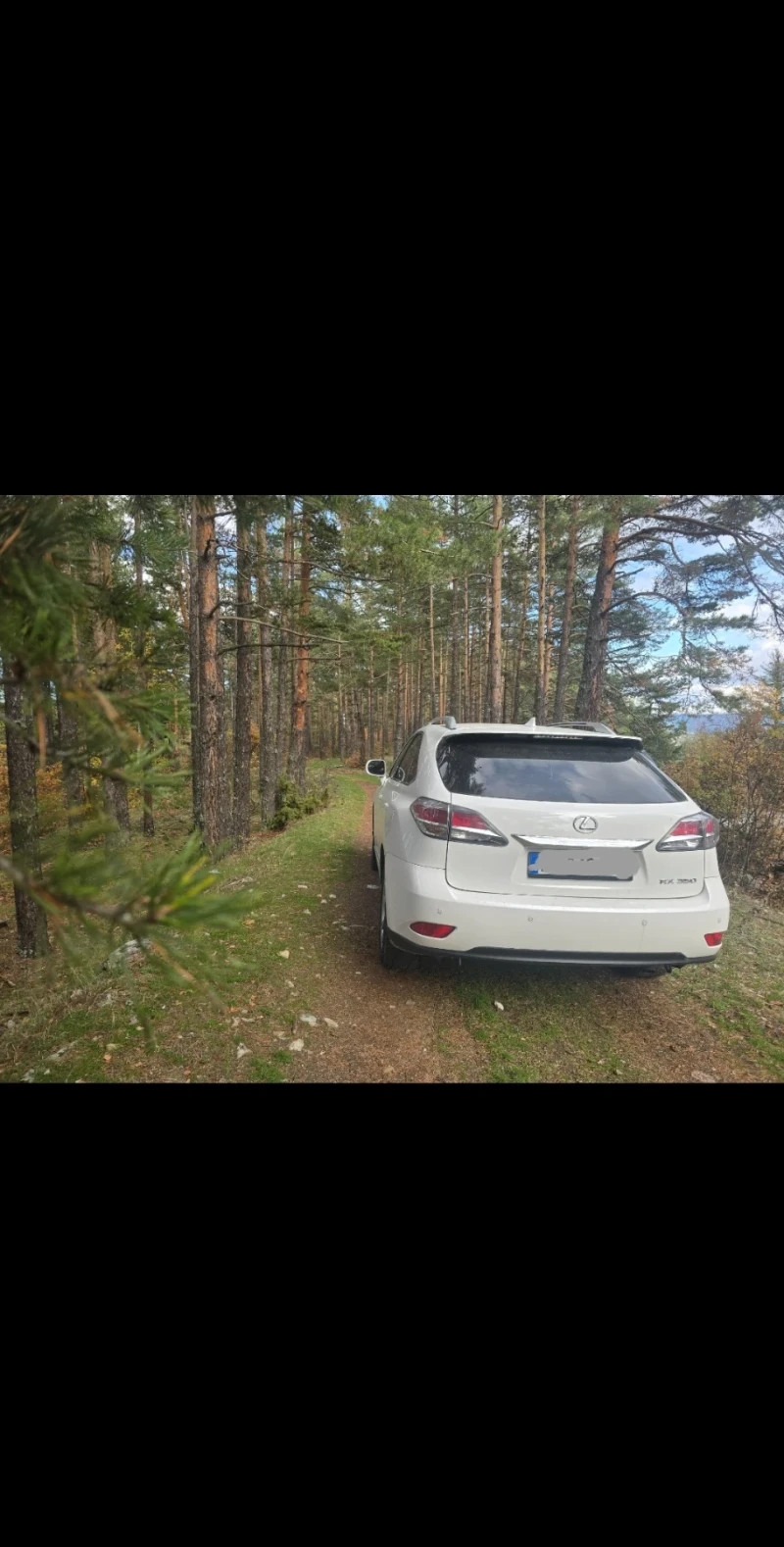 Lexus RX, снимка 7 - Автомобили и джипове - 52395606
