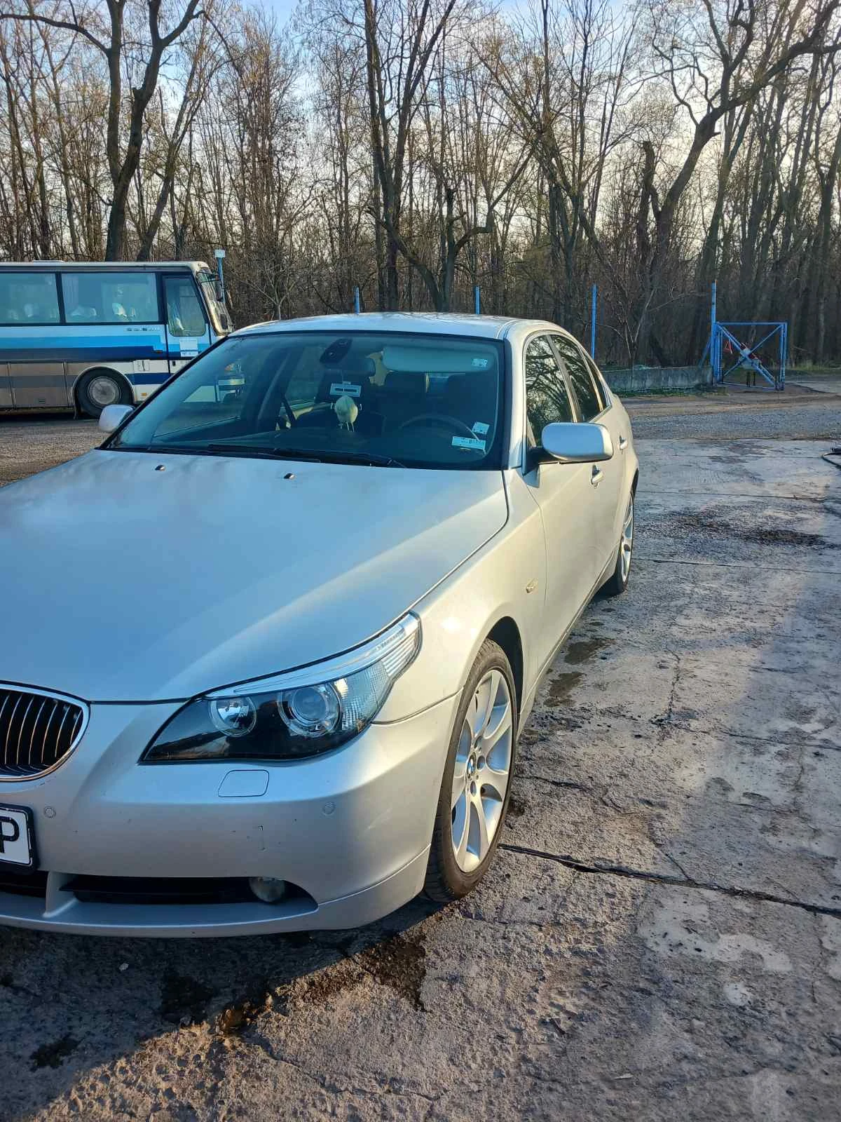 BMW 530 530xd-Е60 - изображение 3