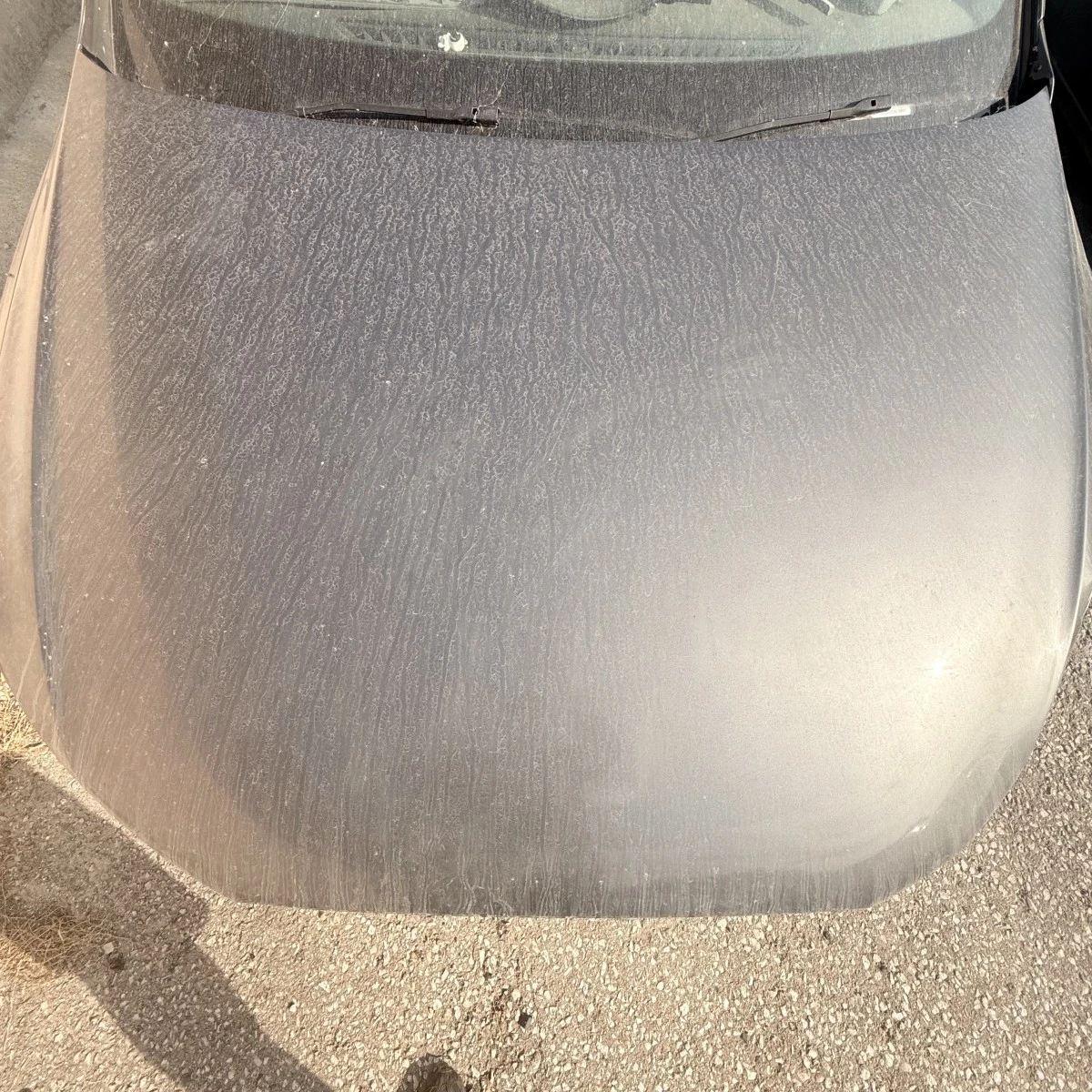 Преден капак Audi Q3 2014 8U0823029