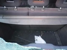 Mercedes-Benz A 140 1.4, 1.6, снимка 8