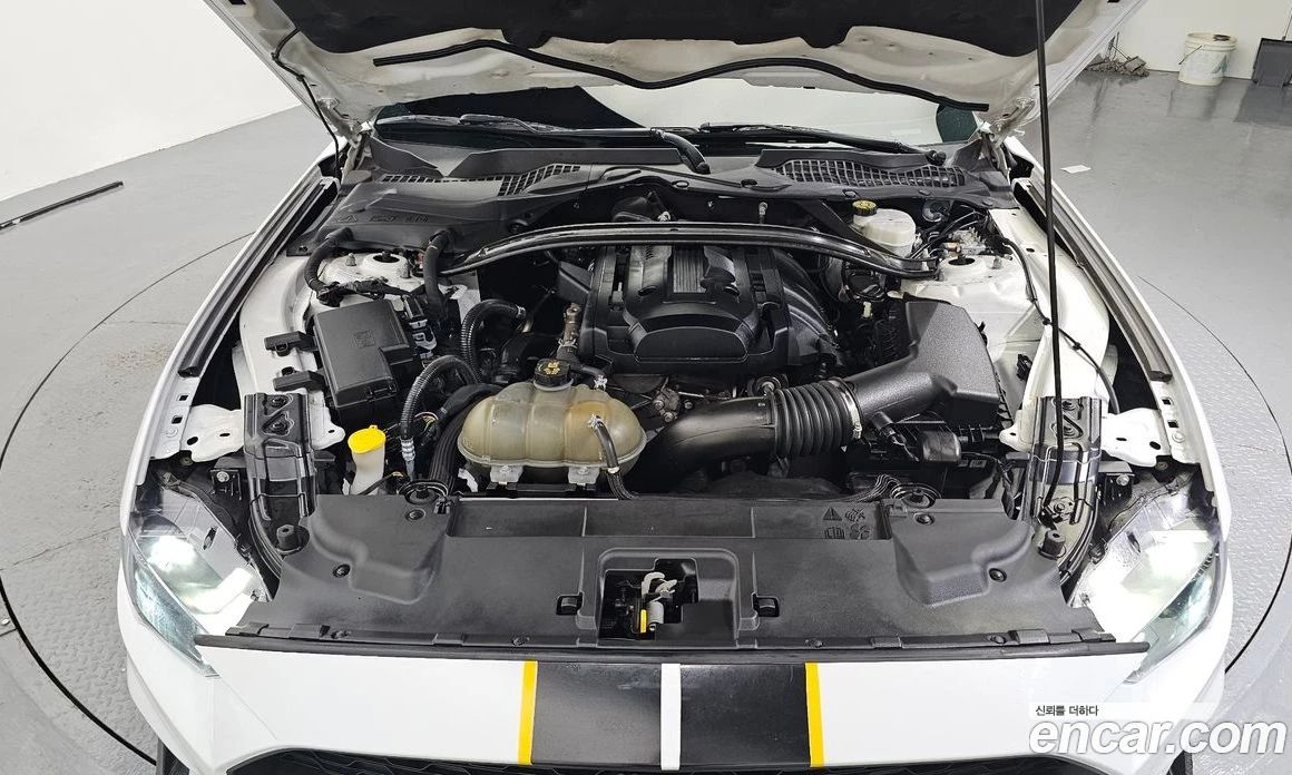 Ford Mustang COUPE, снимка 6 - Автомобили и джипове - 55972084