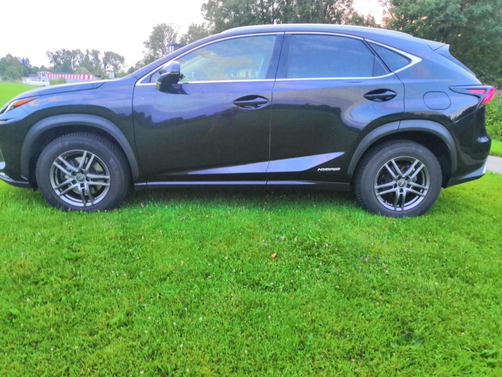 Lexus NX 300h фейслифт - изображение 8