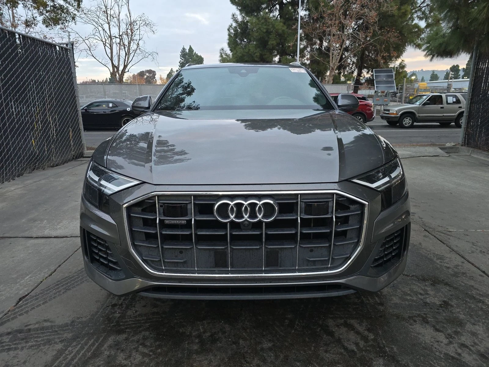 Audi Q8 Premium Plus - изображение 2