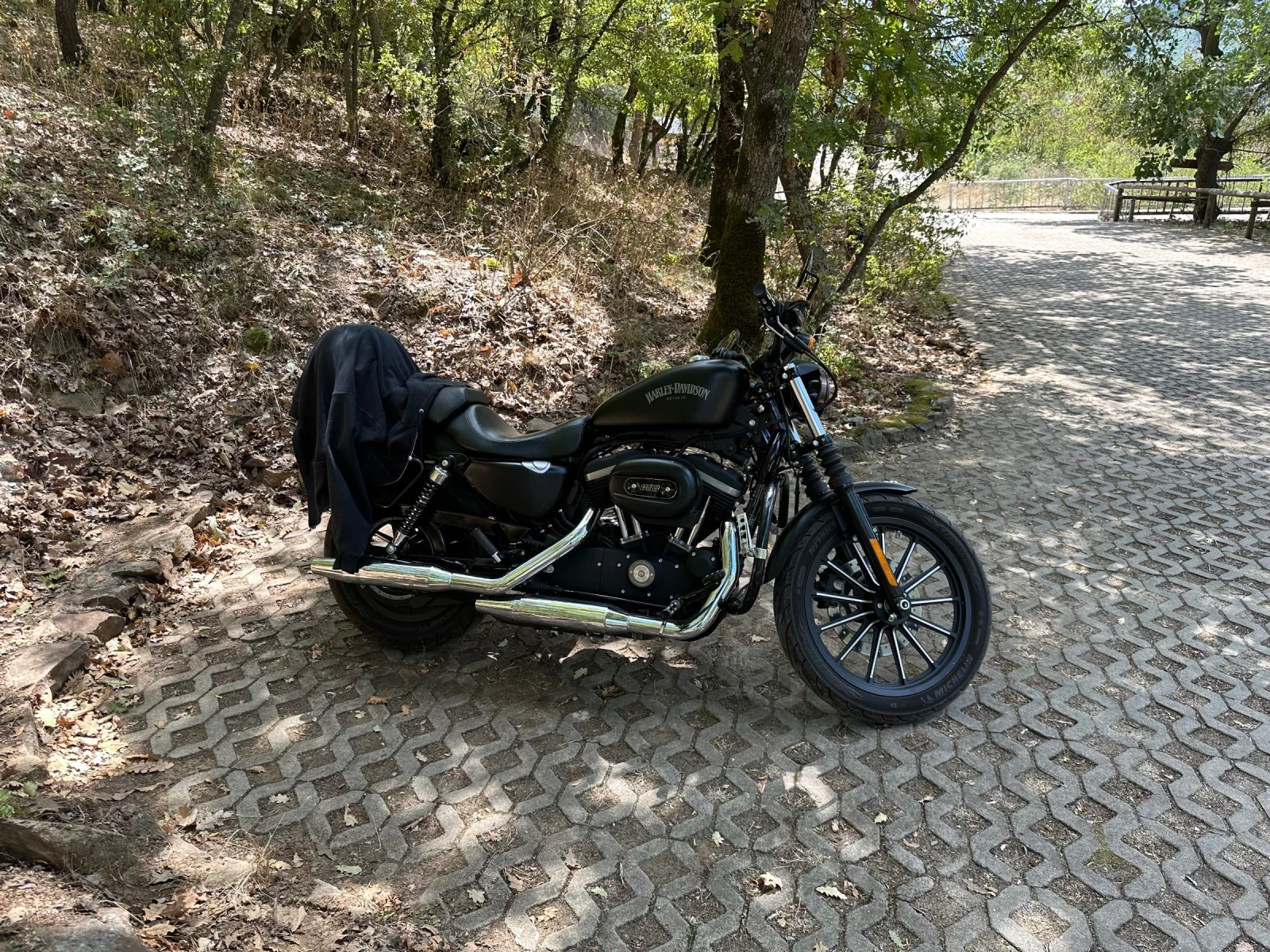 Harley-Davidson Sportster Iron 883 XL 2014г. ТОП СЪСТОЯНИЕ И ТУНИНГ - изображение 5