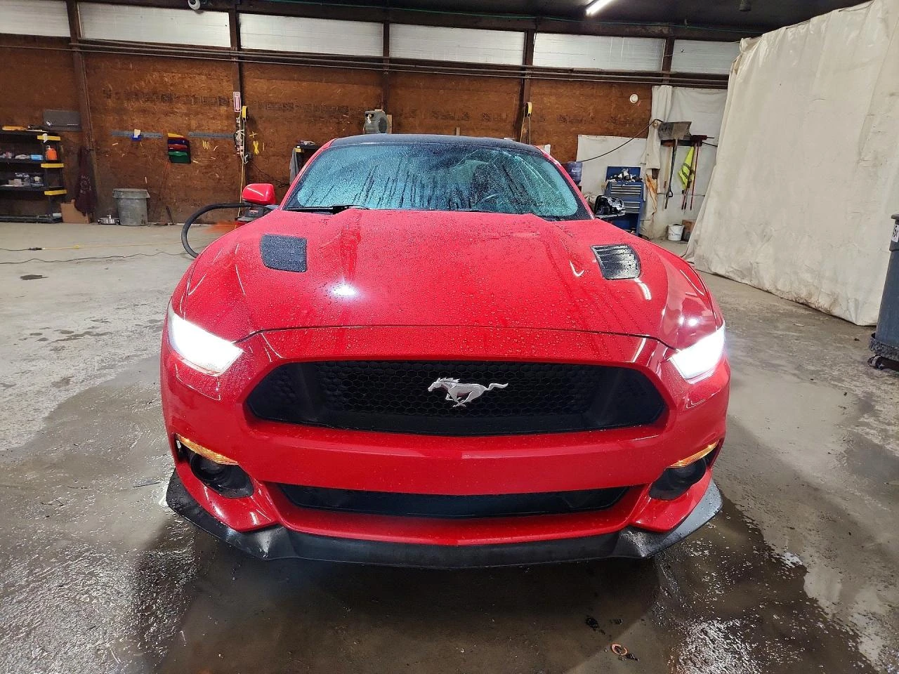 Ford Mustang 5.0GT* РЕАЛНИ КМ* РЪЧКА , снимка 4 - Автомобили и джипове - 54511008