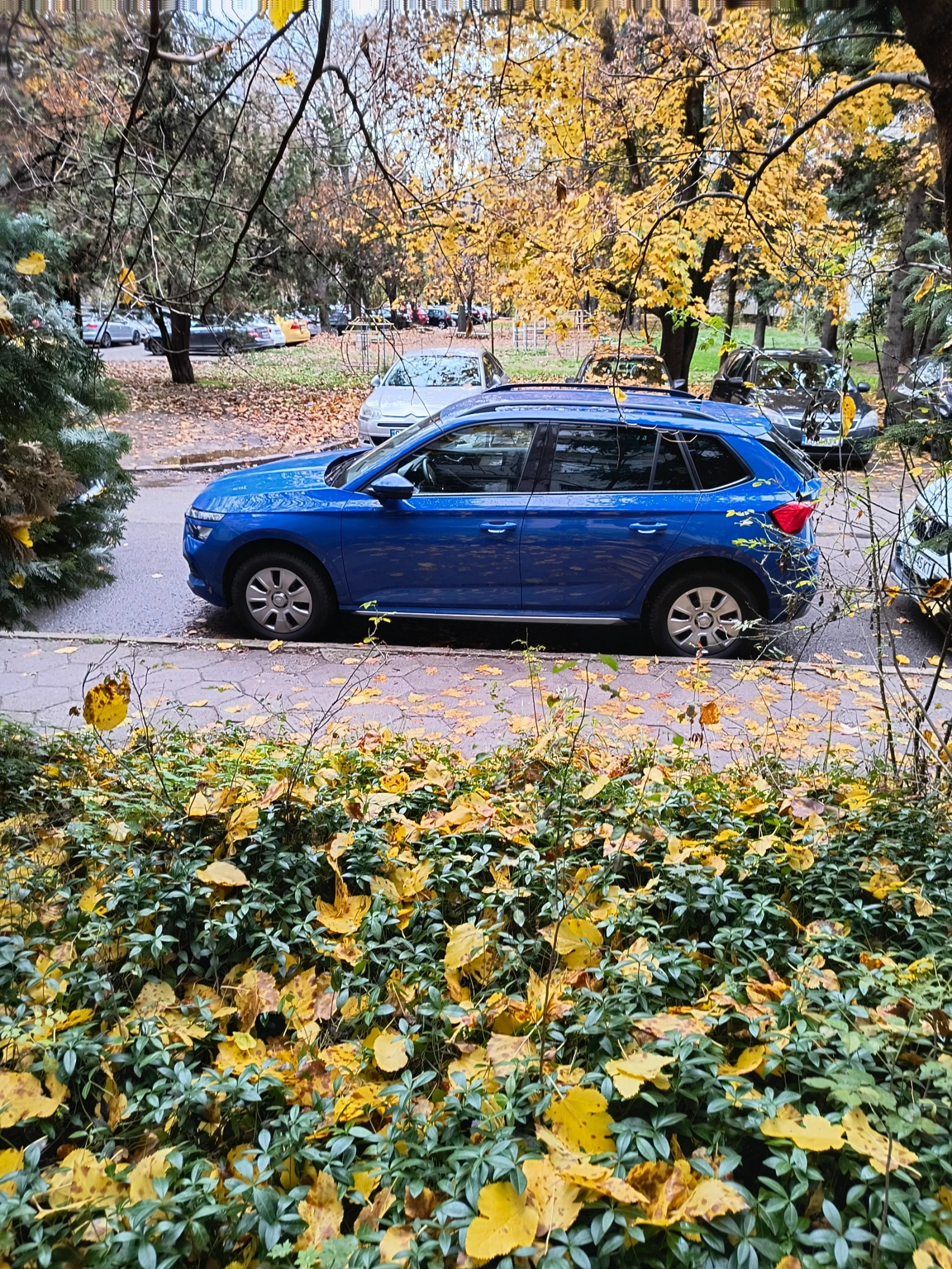 Skoda Kamiq | Mobile.bg   9