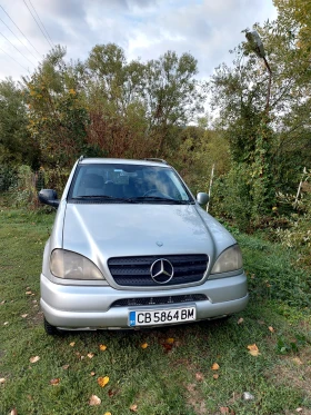 Mercedes-Benz ML 270 270 cdi (W163), снимка 1