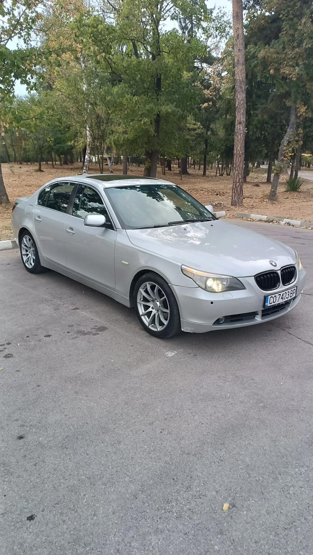 BMW 530 530D, снимка 3 - Автомобили и джипове - 56378666