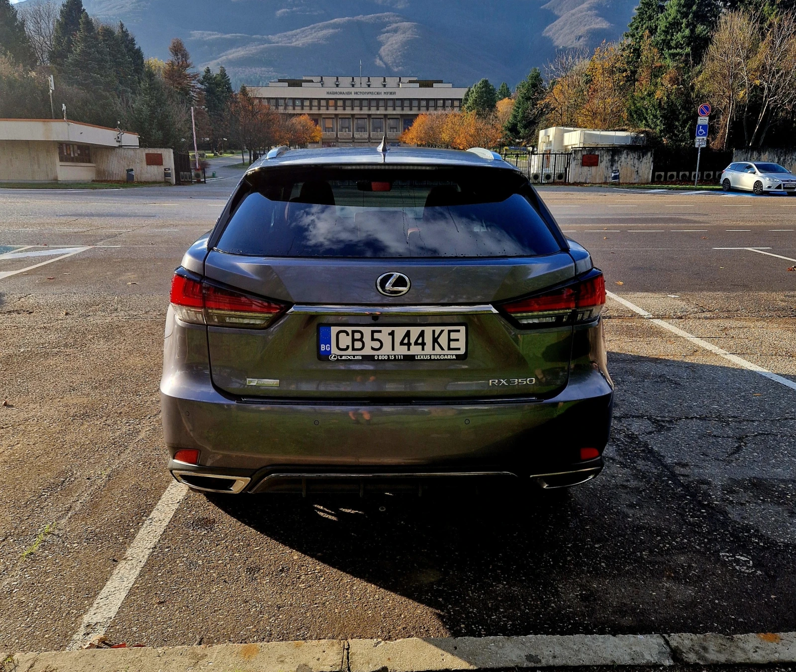 Lexus RX 350 F Sport Handling | Mobile.bg   4