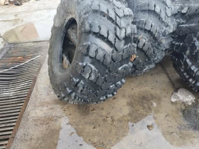 Ural Crone, снимка 15