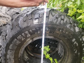 Ural Crone, снимка 9