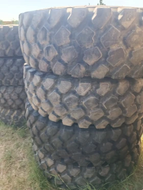 Ural Crone, снимка 4