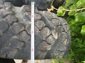 Ural Crone, снимка 10