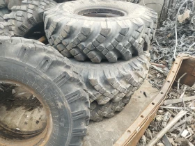 Ural Crone, снимка 14