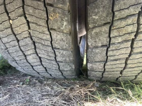 Volvo Fl 260, , хладилен, , фротком, , регистриран, , борд, | Auto.bg — изображение 9